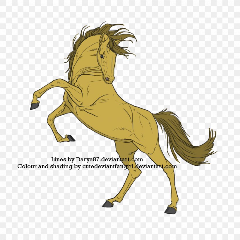 Mustang Pony Foal Stallion Mane, PNG, 2000x2000px, Mustang, Art, Canidae, Carnivoran, Deviantart Download Free