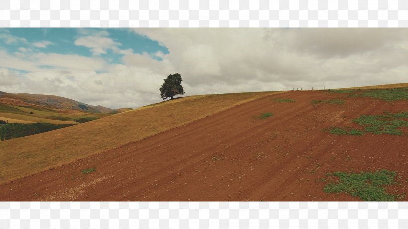 Steppe Painting Grassland Ecoregion Reconfigurable Optical Add-drop Multiplexer, PNG, 1920x1080px, Steppe, Cloud, Ecoregion, Ecosystem, Field Download Free