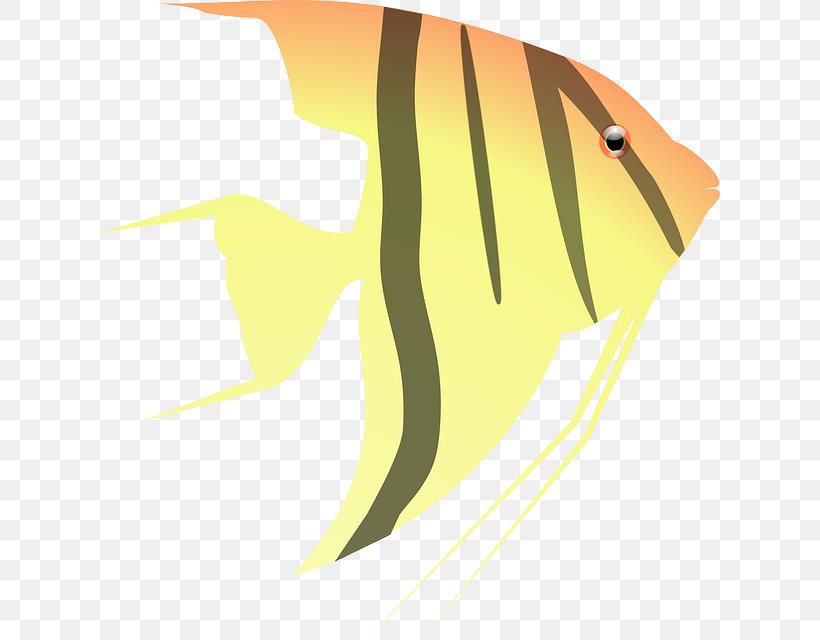 Tropical Fish Clip Art, PNG, 621x640px, Tropical Fish, Angelfish, Art, Beak, Emperor Angelfish Download Free