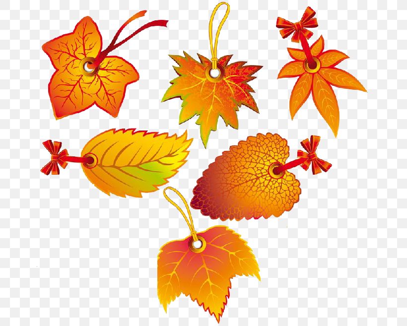 Autumn Leaf Color Clip Art, PNG, 685x657px, Leaf, Autumn, Autumn Leaf Color, Floral Design, Flower Download Free