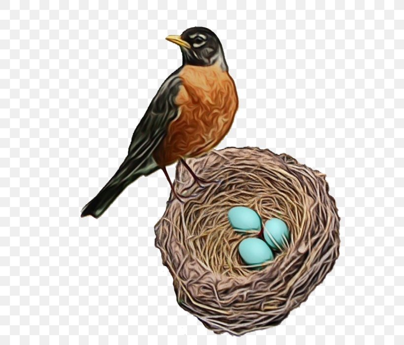 Egg, PNG, 700x700px, Watercolor, Bird, Bird Nest, Egg, Nest Download Free