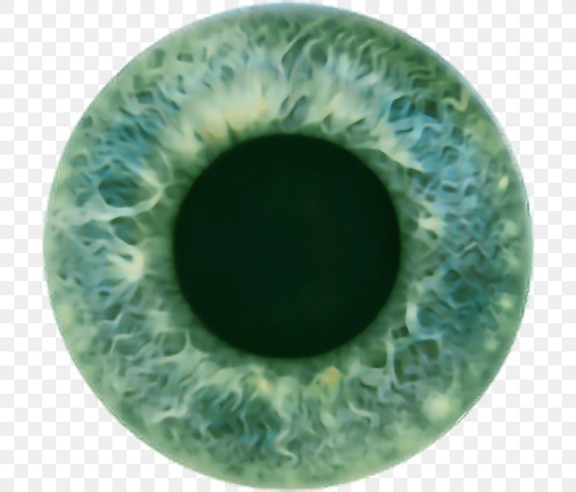 Iris Human Eye Pupil Color, PNG, 708x700px, Watercolor, Cartoon, Flower, Frame, Heart Download Free