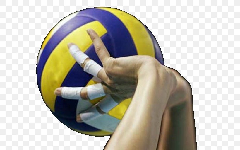 Volleyball SuperLega Volley Pesaro Sport Coach, PNG, 640x512px, Volleyball, Arbitro, Athlete, Ball, Championship Download Free