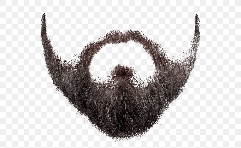 World Beard And Moustache Championships Handlebar Moustache, PNG, 600x503px, Beard, Computer Software, Facial Hair, Fur, Hair Download Free