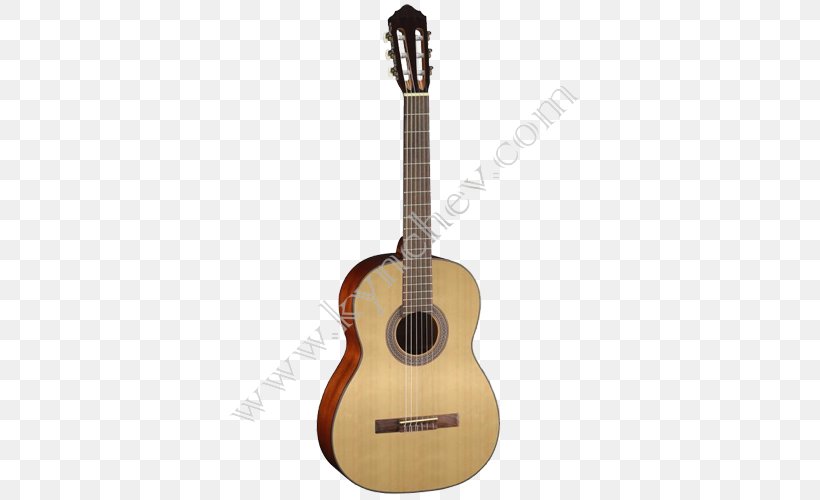 Classical Guitar Cort Guitars Acoustic Guitar Acoustic-electric Guitar, PNG, 500x500px, Watercolor, Cartoon, Flower, Frame, Heart Download Free