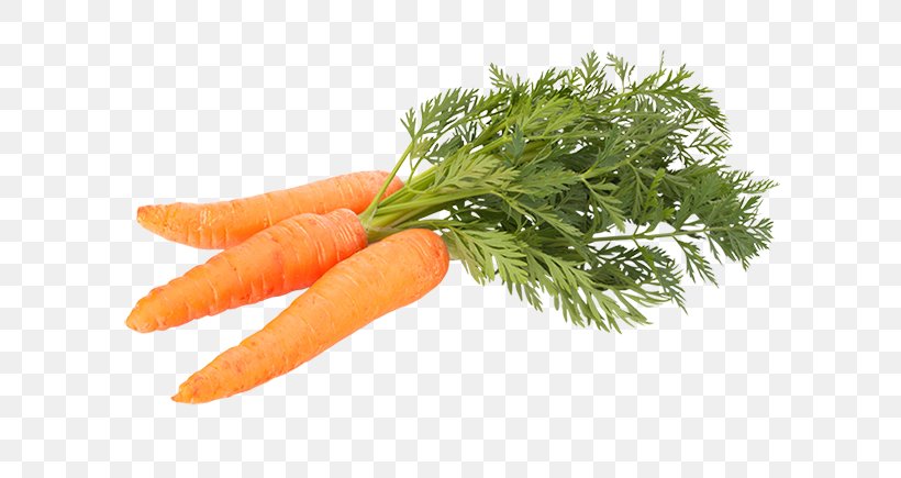 Carrot Vegetable Food Stock Photography Shutterstock, PNG, 600x435px, Carrot, Arugula, Baby Carrot, Cooking, Diet Food Download Free