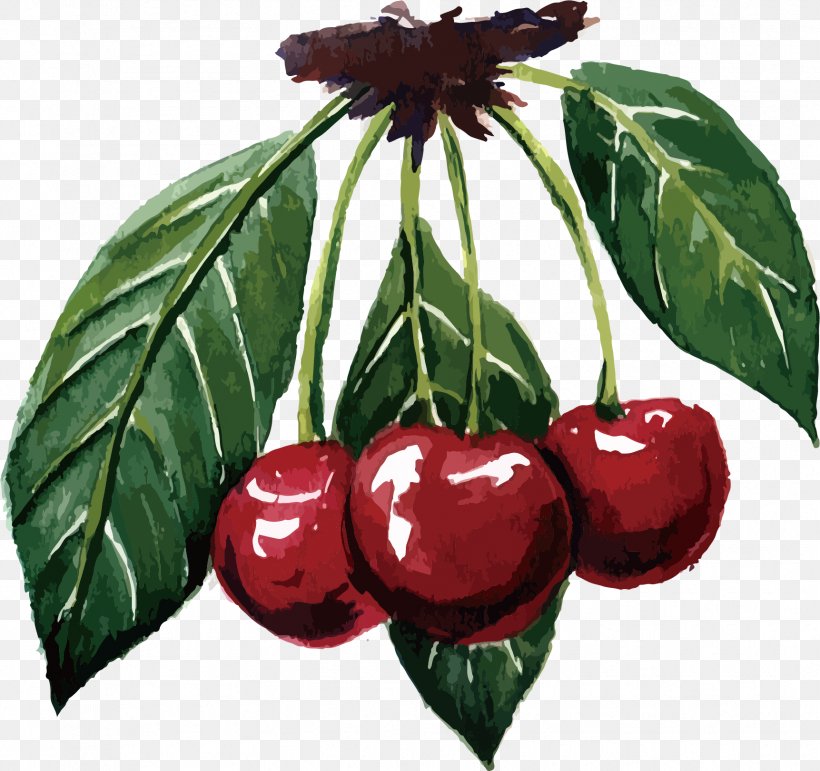 Cherry Cerasus Fruit Varenye, PNG, 1723x1622px, Cherry, Cerasus, Food, Fruit, Leaf Download Free