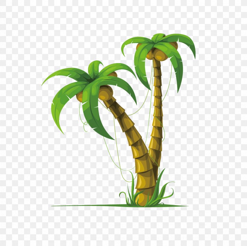 Coconut Arecaceae Drawing Stock Photography, PNG, 1181x1181px, Coconut, Arecaceae, Branch, Drawing, Flora Download Free