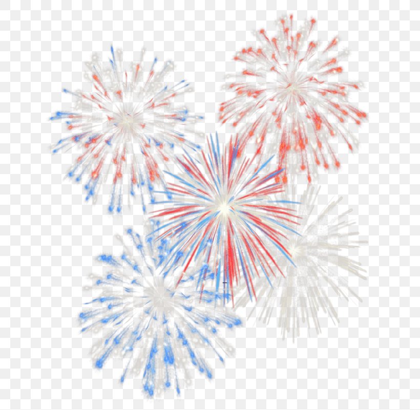 Fireworks Animation Clip Art, PNG, 665x801px, Fireworks, Animation, Art, Art Museum, Bonfire Night Download Free