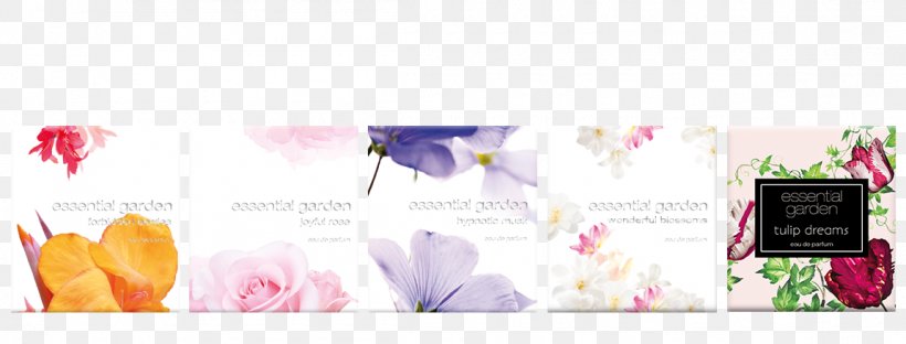 Floral Design Pink M Brand Font, PNG, 1150x438px, Floral Design, Brand, Floristry, Flower, Petal Download Free