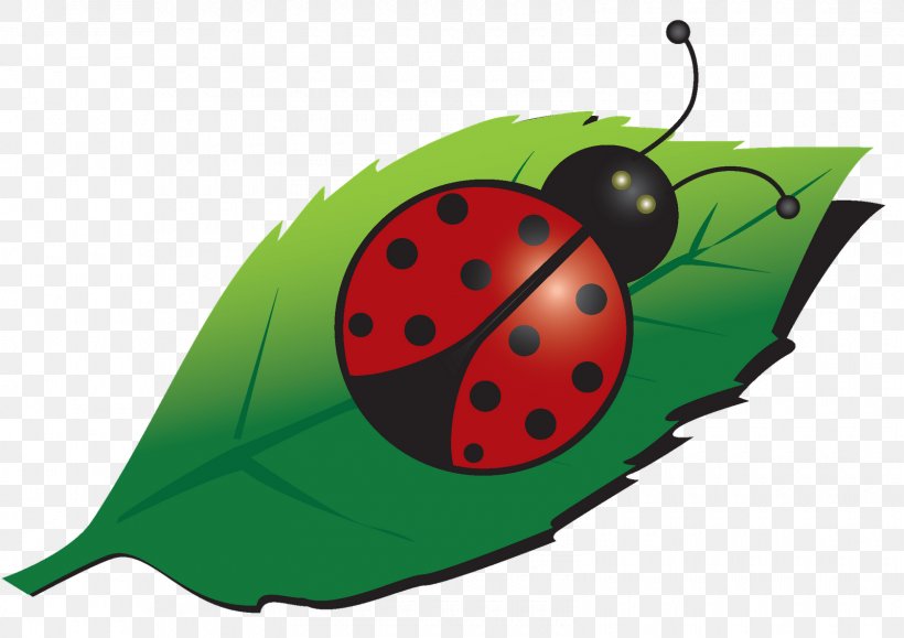 Ladybird Beetle T-shirt Email Clip Art, PNG, 1600x1131px, 2017, Ladybird, Beetle, Cutepdf, Drawing Download Free
