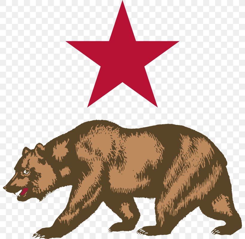 California Grizzly Bear California Republic Flag Of California, PNG, 800x800px, California, Bear, Brown Bear, California Grizzly Bear, California Republic Download Free