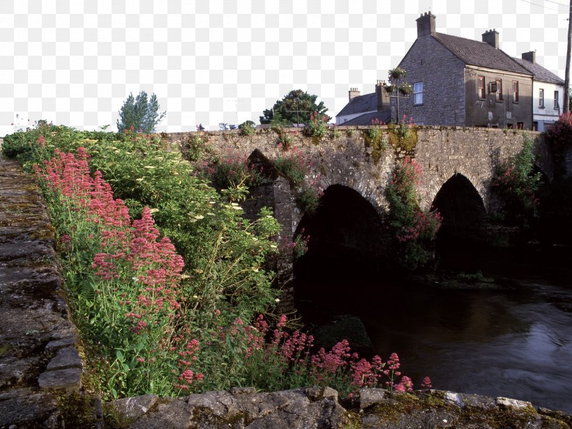 County Meath River Boyne Counties Of Ireland Aspect Ratio Wallpaper, PNG, 1600x1200px, 4k Resolution, County Meath, Aspect Ratio, Counties Of Ireland, Flower Download Free