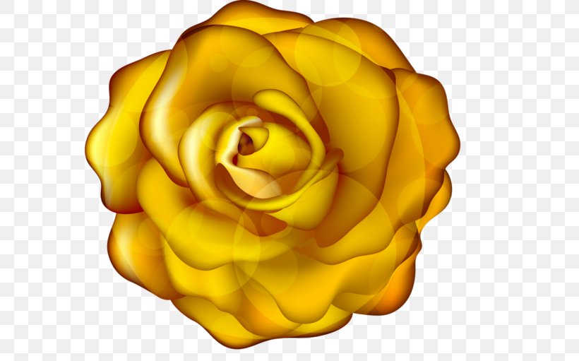 Garden Roses Yellow Flower Clip Art, PNG, 600x511px, Garden Roses, Animaatio, Animated Film, Close Up, Color Download Free