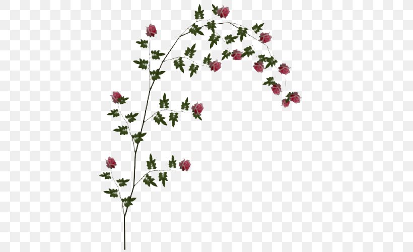 Rose Clip Art, PNG, 500x500px, Rose, Blossom, Branch, Display Resolution, Flora Download Free