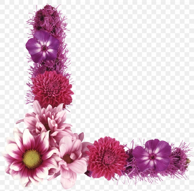 Dahlia Flower Photography Magenta Purple, PNG, 1980x1948px, Dahlia, Color, Cut Flowers, Daisy Family, Floral Design Download Free