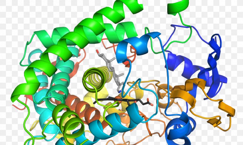 Enzyme Chemical Reaction Activation Energy Catalysis Cytochrome, PNG, 1000x600px, Enzyme, Activation Energy, Active Site, Artwork, Biochemistry Download Free