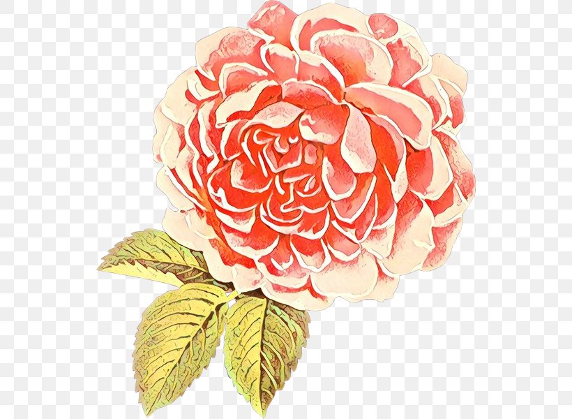 Floral Flower Background, PNG, 544x600px, Garden Roses, Artificial Flower, Cabbage Rose, Camellia, Cut Flowers Download Free