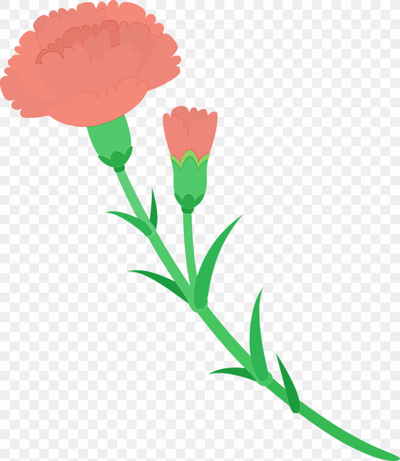 Flower Cut Flowers Plant Plant Stem Pedicel, PNG, 2603x3000px, Watercolor, Carnation, Cut Flowers, Flower, Paint Download Free