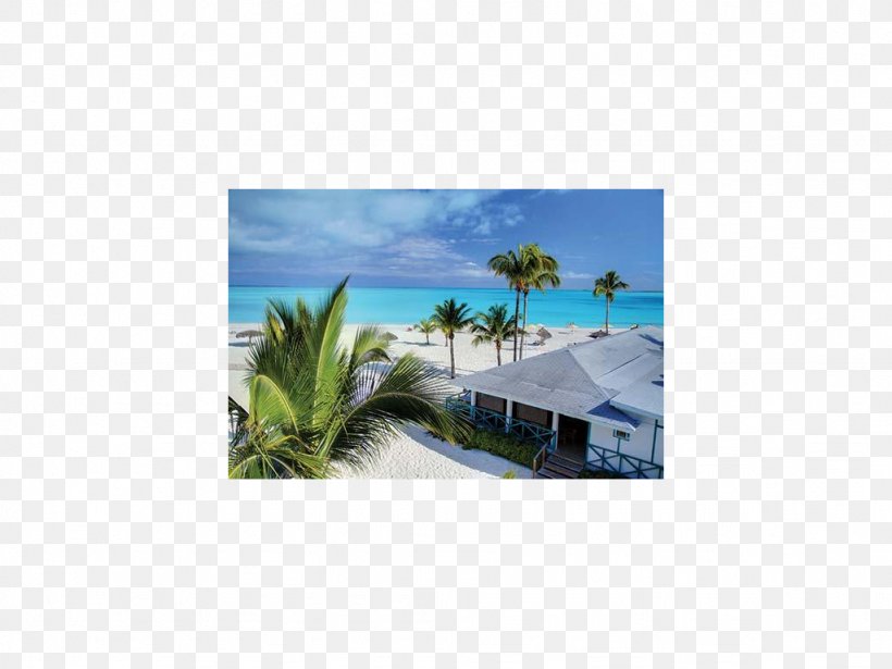 Green Turtle Cay Treasure Cay Hope Town Hilton At Resorts World Bimini Big Joe Downer Cay, PNG, 1024x768px, Green Turtle Cay, Abaco Islands, Bahamas, Bimini, Cay Download Free