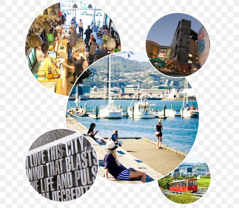 Leisure Vacation Plastic Collage, PNG, 660x714px, Leisure, Collage, Plastic, Recreation, Tourism Download Free