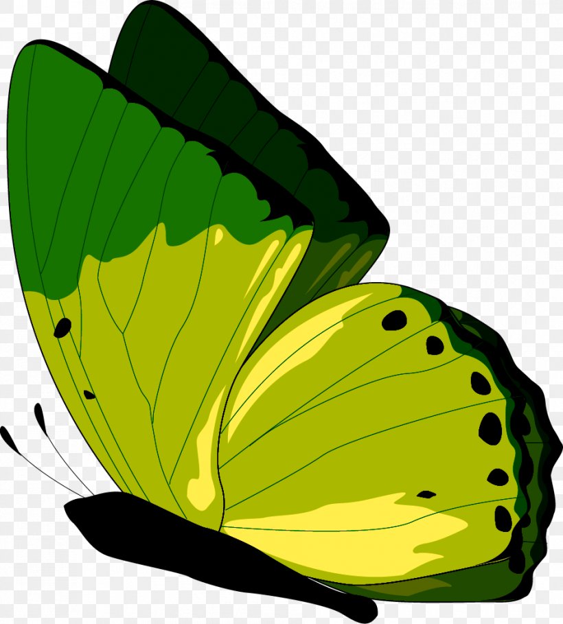 Monarch Butterfly Clip Art JPEG, PNG, 941x1044px, Monarch Butterfly, Author, Brush Footed Butterfly, Brushfooted Butterflies, Butterfly Download Free