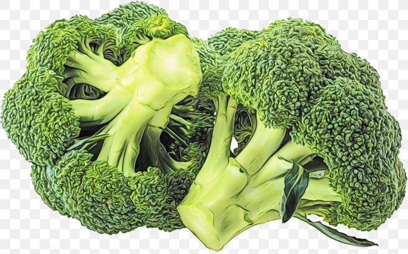 Parsley, PNG, 1500x933px, Watercolor, Broccoli, Carrot, Gourmet, Grocery Store Download Free