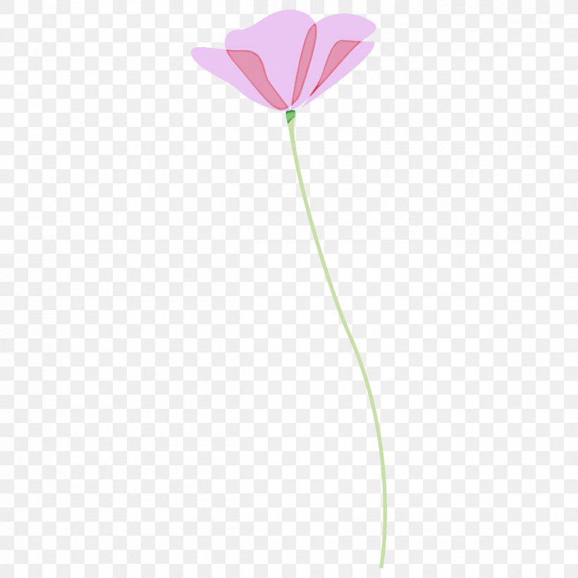 Poppy Flower, PNG, 1200x1200px, Poppy Flower, Anthurium, Flower, Pedicel, Petal Download Free
