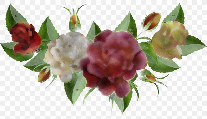 Rose, PNG, 1600x922px, Flower, Bouquet, Cut Flowers, Petal, Pink Download Free