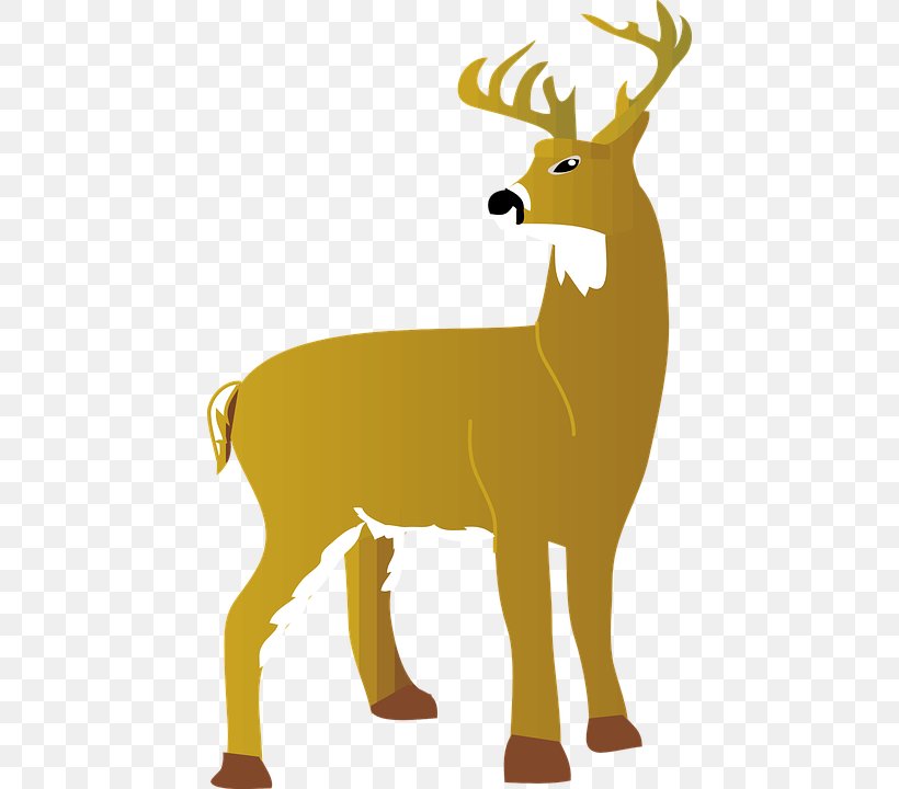 The White-tailed Deer Red Deer Clip Art, PNG, 442x720px, Whitetailed Deer, Antler, Cattle Like Mammal, Deer, Dog Like Mammal Download Free