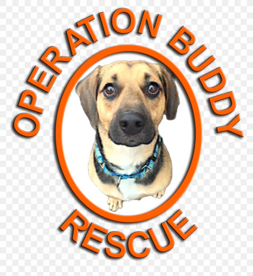 Dog Pet Puppy Cat Animal, PNG, 881x960px, Dog, Adoption, Animal, Animal Rescue Group, Animal Shelter Download Free