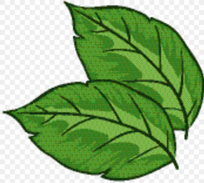 Green Leaf Background, PNG, 880x789px, Leaf, Botany, Flower, Flowering Plant, Green Download Free