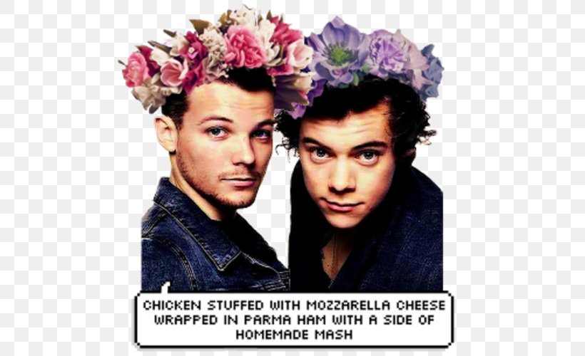 Harry Styles Louis Tomlinson One Direction Bromance Shipping, PNG, 500x500px, Watercolor, Cartoon, Flower, Frame, Heart Download Free