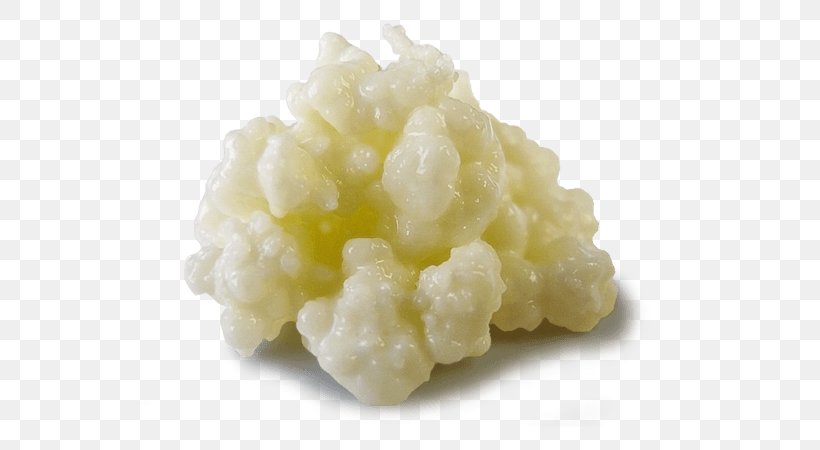 Kefir Doogh Smoothie Yeast Cauliflower, PNG, 600x450px, Kefir, Black Kashk, Cauliflower, Cheese, Doogh Download Free