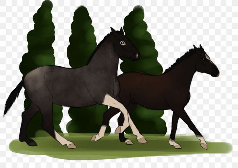 Mane Foal Mustang Stallion Colt, PNG, 1024x724px, Mane, Colt, Foal, Grass, Halter Download Free