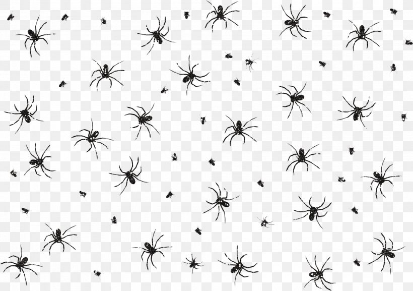 Spider Web Download, PNG, 2018x1420px, Spider, Animal, Black And White, Dragon Boat Festival, Flora Download Free