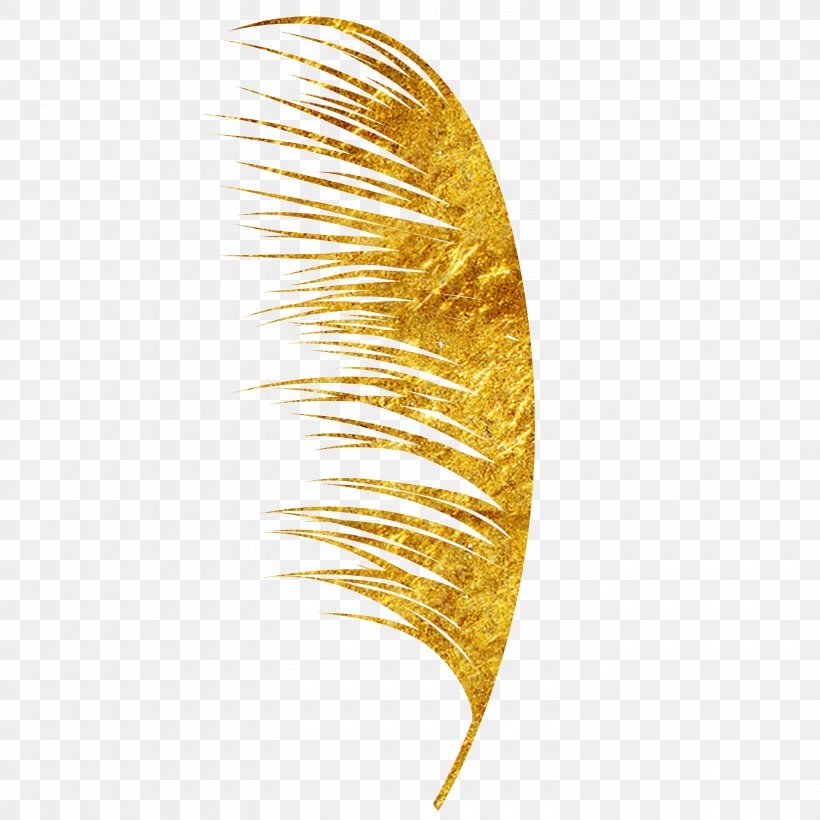 Wheat Food Crop Icon, PNG, 3000x3000px, Wheat, Crop, Ear, Feather, Food Download Free