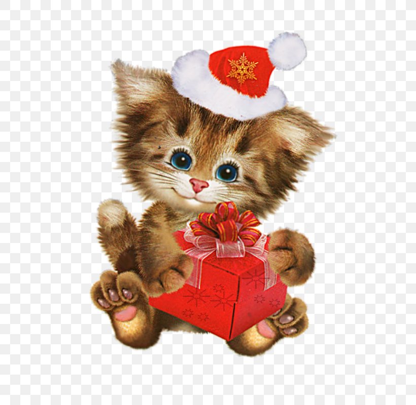 Cat Dog Puppy Animal Clip Art, PNG, 533x800px, Watercolor, Cartoon, Flower, Frame, Heart Download Free