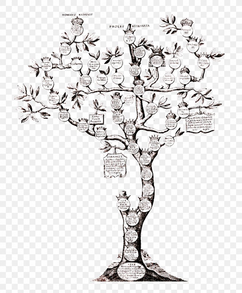Family Tree Genealogy Surname Kinship, PNG, 992x1200px, Family, Black And White, Branch, Brazil, Candle Holder Download Free