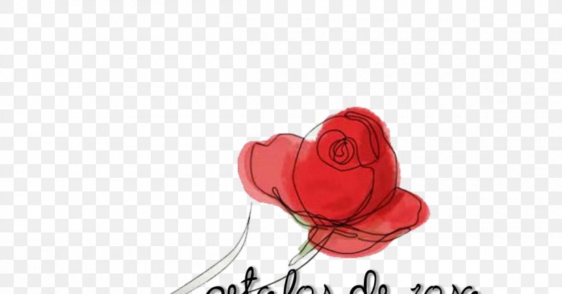 Garden Roses Clothing Petal Valentine's Day Footwear, PNG, 1200x630px, Watercolor, Cartoon, Flower, Frame, Heart Download Free