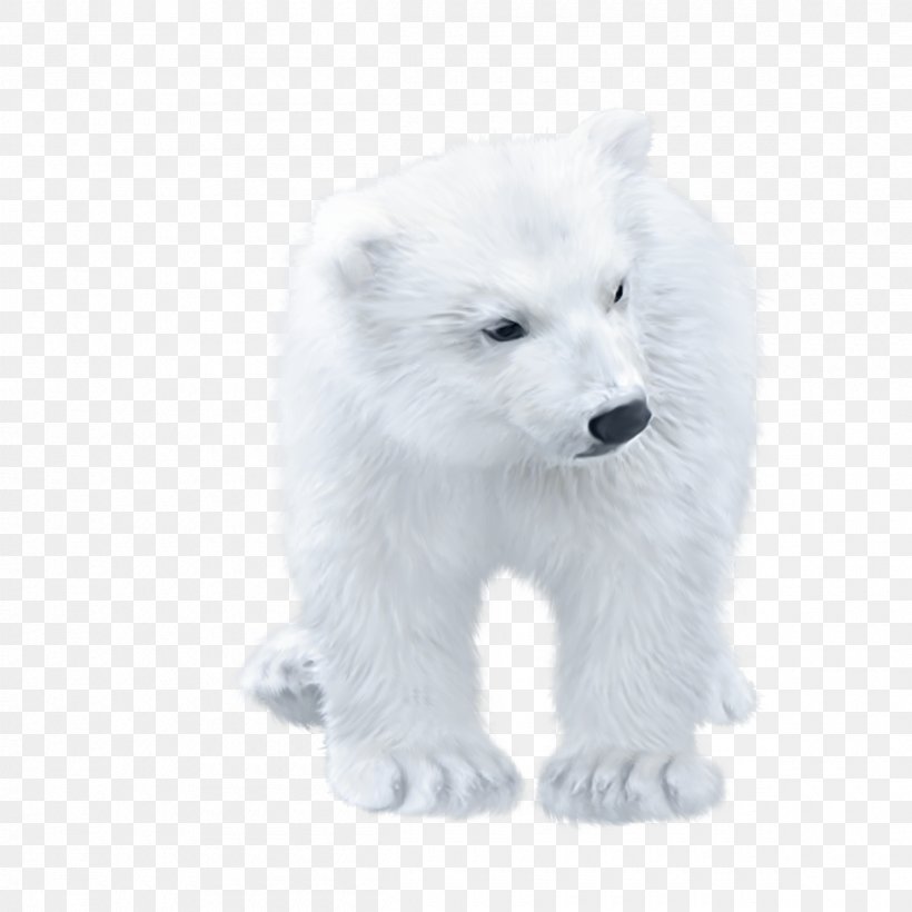 Polar Bear Arctic Fox, PNG, 2400x2400px, Watercolor, Cartoon, Flower, Frame, Heart Download Free
