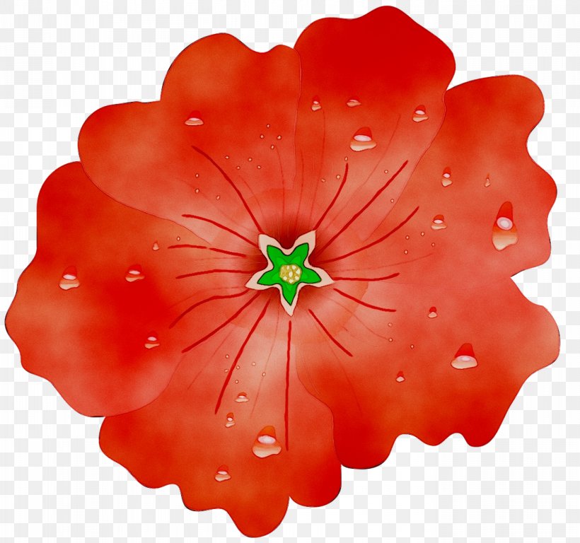 RED.M, PNG, 1365x1280px, Redm, Flower, Flowering Plant, Geranium, Herbaceous Plant Download Free