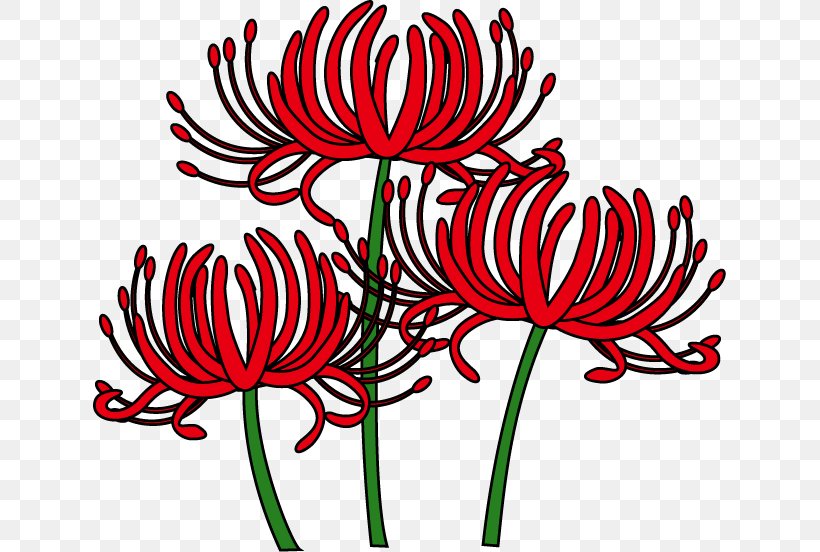 Red Spider Lily Higan Lycorine Clip Art, PNG, 633x552px, Red Spider Lily, Artwork, Batas, Black And White, Bulb Download Free