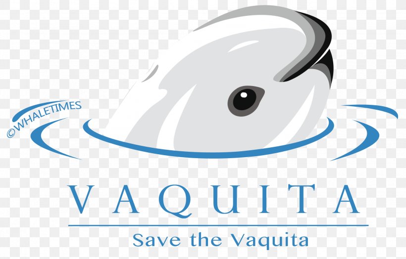 The Vaquita: The Biology Of An Endangered Porpoise The Vaquita: The Biology Of An Endangered Porpoise Endangered Species Logo, PNG, 1942x1243px, Vaquita, Animal, Area, Art, Artwork Download Free