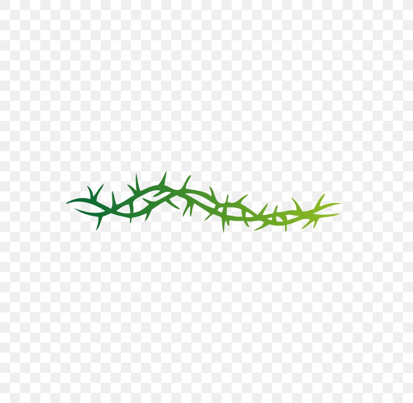 Thorns, Spines, And Prickles Vine Rose Crown Of Thorns Clip Art, PNG