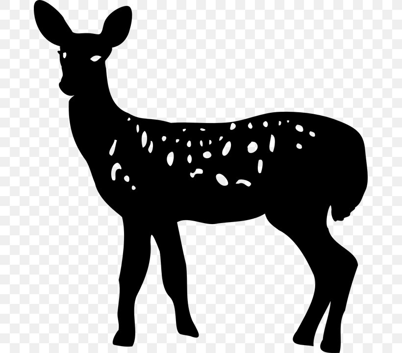 White-tailed Deer Silhouette Clip Art, PNG, 681x720px, Deer, Antler, Black And White, Donkey, Elk Download Free