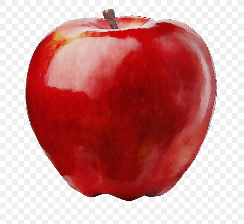 Fruit Red Apple Food Plant, PNG, 752x752px, Watercolor, Accessory Fruit, Apple, Food, Fruit Download Free