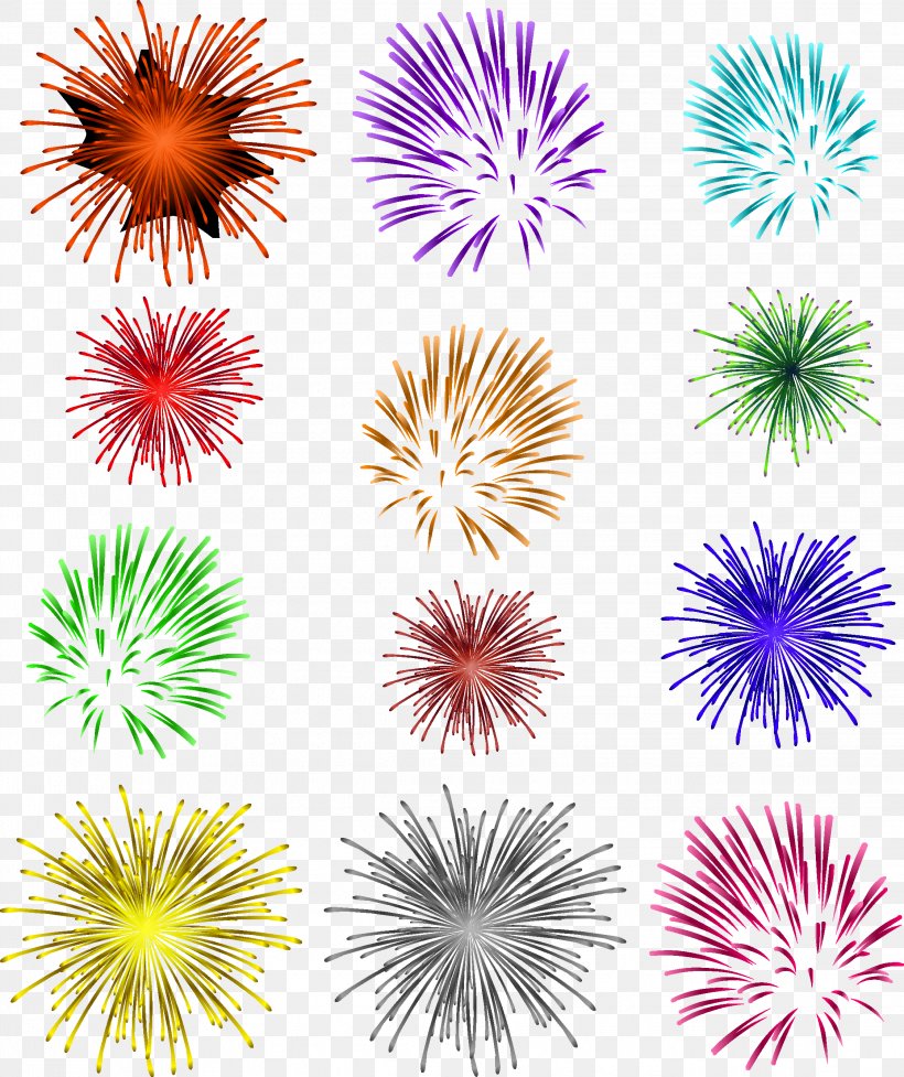 LInternational Des Feux Loto-Quxe9bec Fireworks Photography, PNG, 2244x2674px, Fireworks, Event, Festival, Flora, Flower Download Free