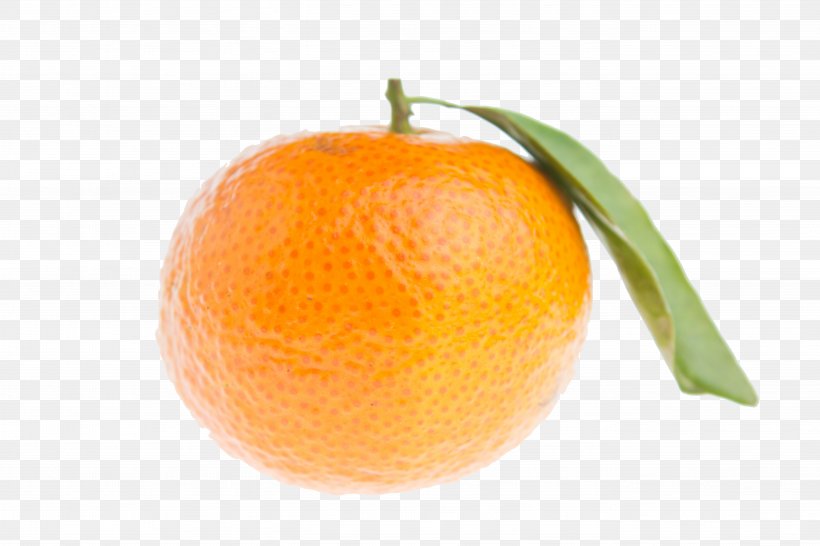 Mandarin Orange Tangerine Clementine Bitter Orange Rangpur, PNG, 5472x3648px, Mandarin Orange, Bitter Orange, Blood Orange, Chenpi, Citric Acid Download Free