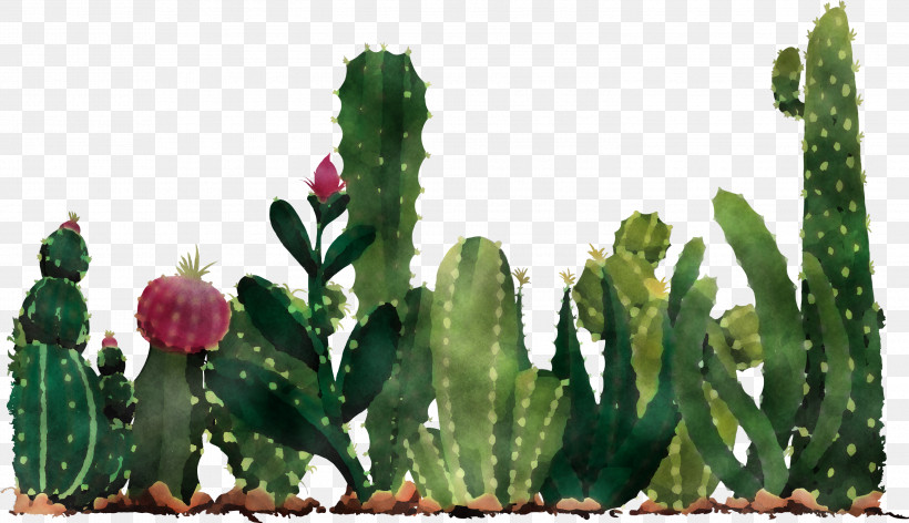 Mexico Elements, PNG, 2999x1727px, Mexico Elements, Cactus, Cartoon, Drawing, Juice Download Free